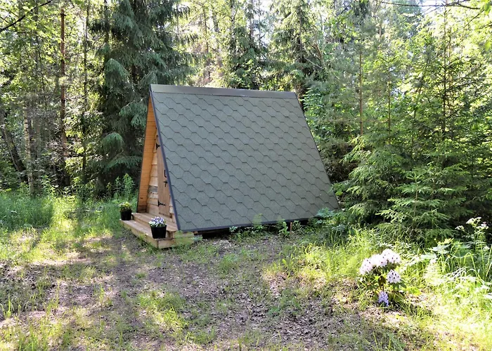 Korjuse Moor